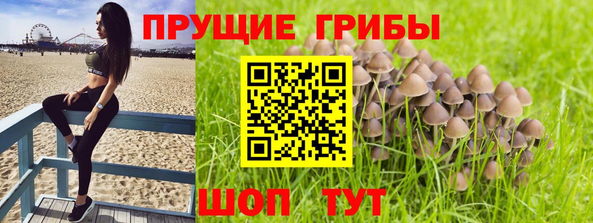 Бирск  Галлюциногенные грибы ЛСД  Вход с VPN 